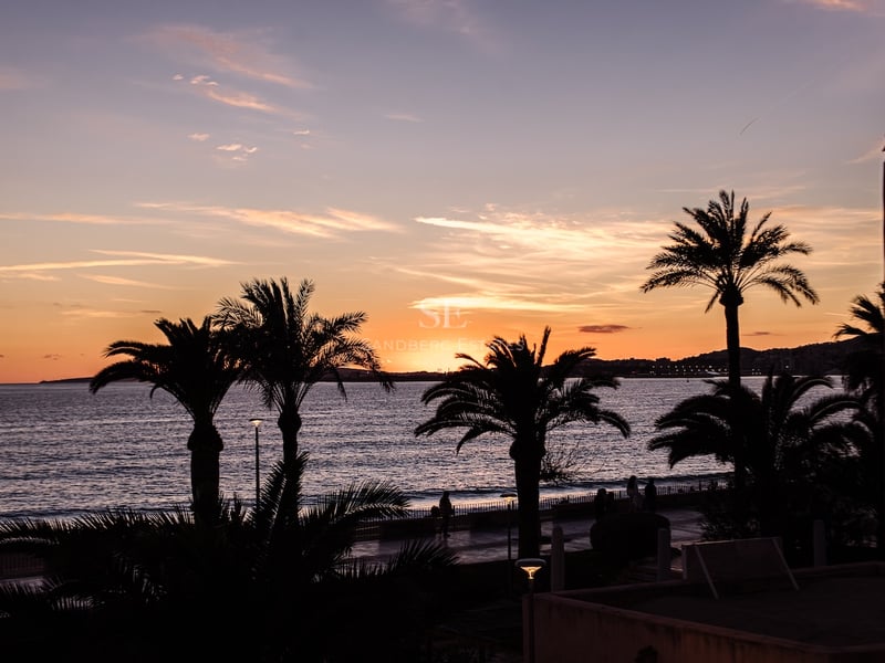 Silhouette von Palmen vor einem orange-violetten Sonnenuntergang über dem Meer und der Küstenpromenade.
