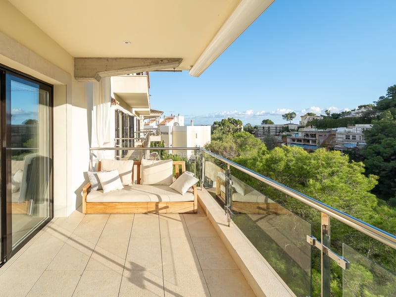 Balcon moderne avec canapé en bois et garde-corps en verre surplombant une forêt de pins luxuriante sous un ciel bleu.