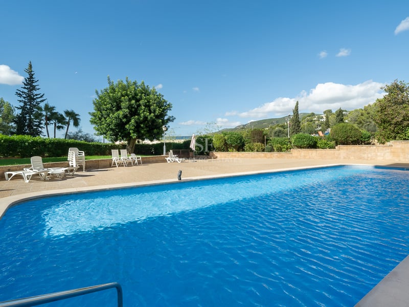 Grande piscine bleue entourée d'une terrasse en pierre avec des chaises longues et des arbres sous un ciel dégagé.