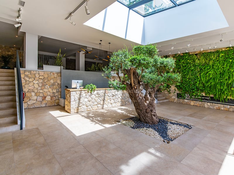 Lobby contemporain présentant un grand olivier d'intérieur sous un puits de lumière, des murs en pierre et un mur végétal.