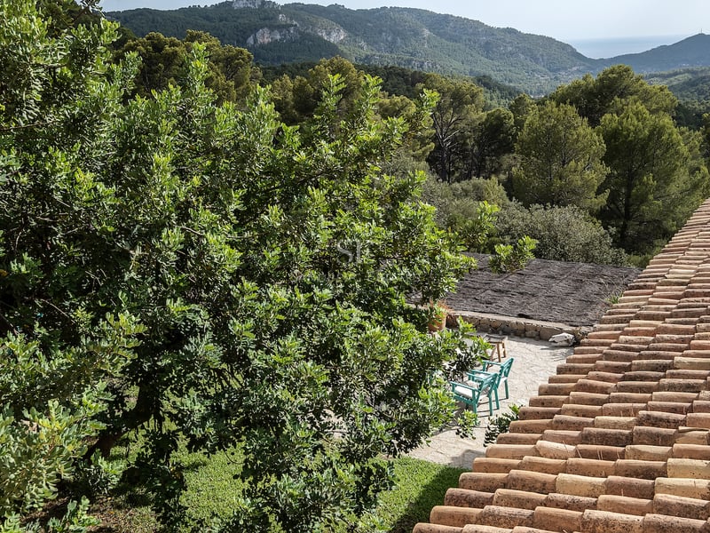 Toit en terre cuite surplombant un patio en pierre avec des chaises turquoise, entouré d'arbres et de montagnes.