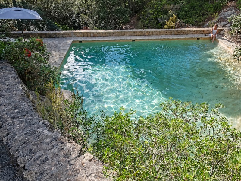 Vue en hauteur d'une piscine en pierre turquoise entourée d'une forêt verdoyante et d'une terrasse en pierre.
