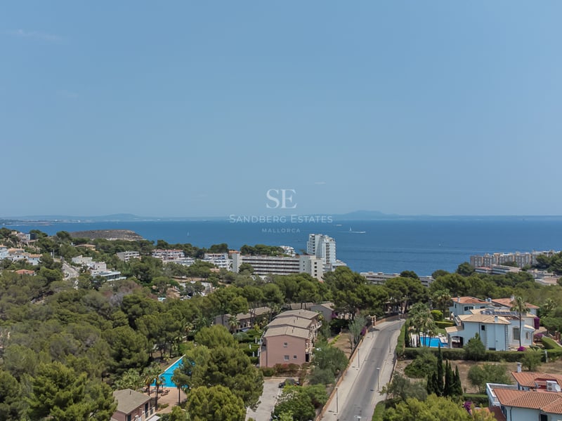 Vue en hauteur d'une zone résidentielle côtière avec des pins, des maisons blanches et la mer Méditerranée.