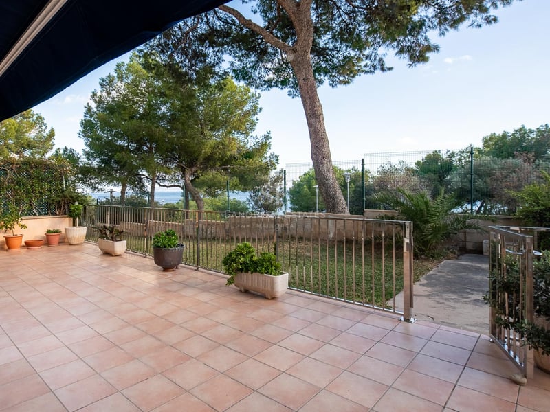 Grande terrasse en terre cuite avec garde-corps inox, pins parasols et vue sur l'horizon marin.