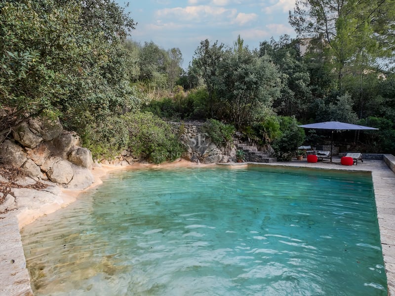 Piscine style lagon aux eaux turquoise avec bordures en pierre naturelle et coin détente ombragé.