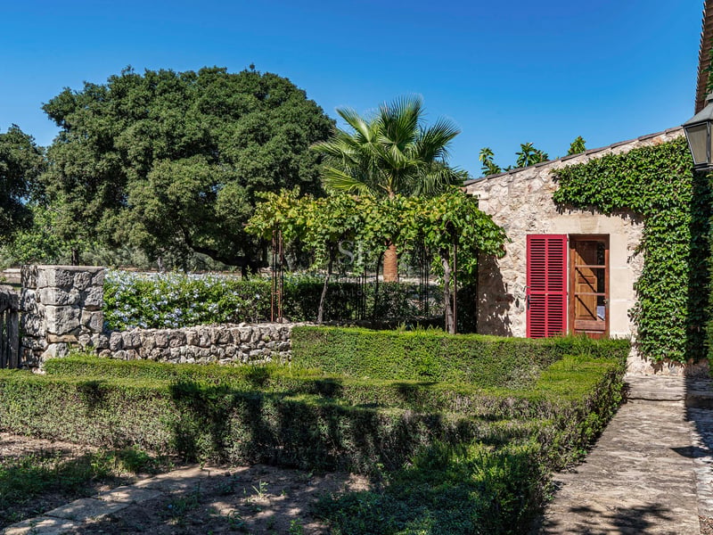 Haies taillées et murs en pierre menant à une maison en pierre rustique avec volets rouges et végétation luxuriante.