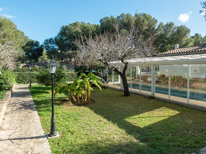 Allée en pierre naturelle traversant un jardin tropical menant à une piscine abritée par une structure en verre.