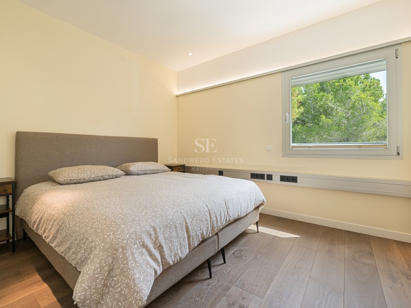Chambre moderne avec lit rembourré, parquet en chêne et fenêtre donnant sur des pins verdoyants.