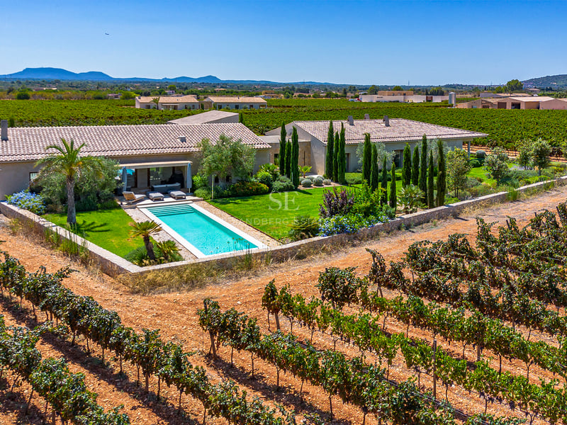 Vue aérienne d'une villa de luxe avec piscine et pelouse, entourée de rangées de vignes vertes.