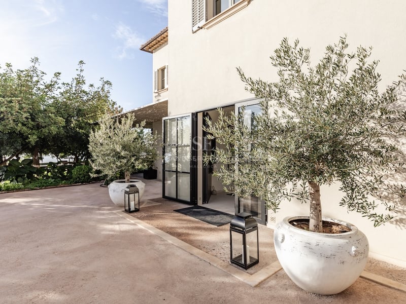 Entrée de villa de luxe avec oliviers en pots blancs et lanternes noires sur une terrasse en pierre naturelle.