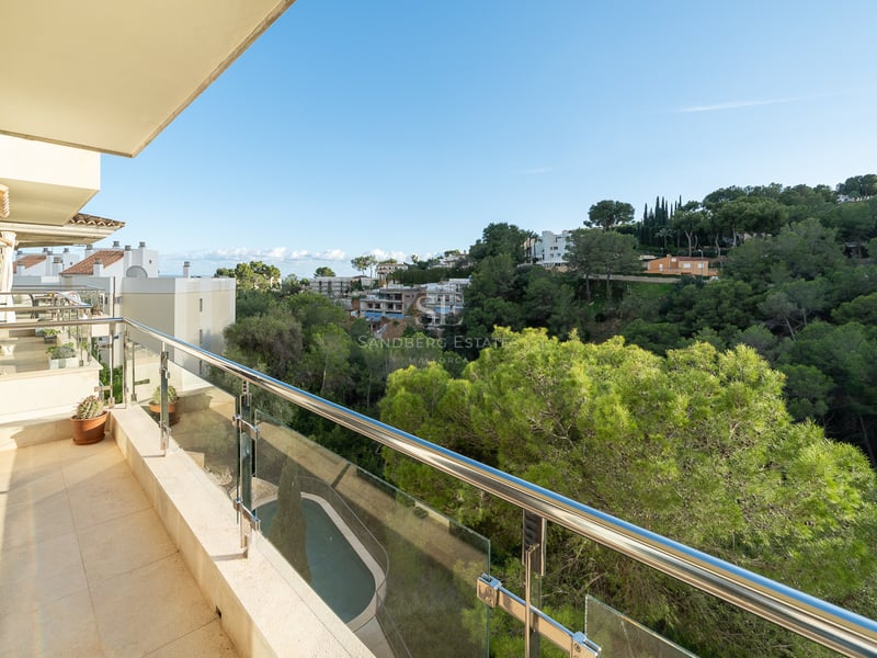 Grande terrasse avec garde-corps en verre surplombant une forêt verdoyante et une piscine en contrebas.