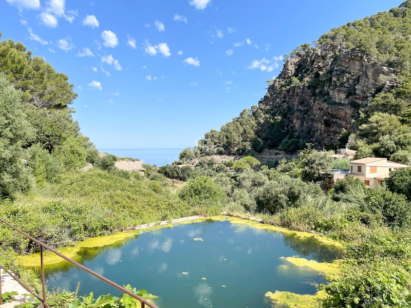 Vue en hauteur montrant un bassin naturel entouré de verdure, une falaise rocheuse et la mer à l'horizon sous un ciel bleu.