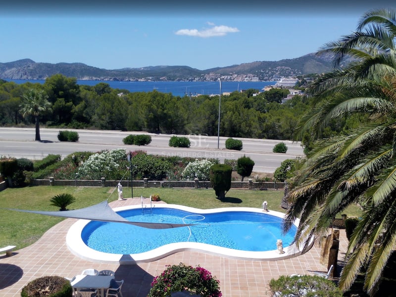 Une piscine de forme ovale dans un jardin avec des palmiers, surplombant une baie bleue et des montagnes lointaines.