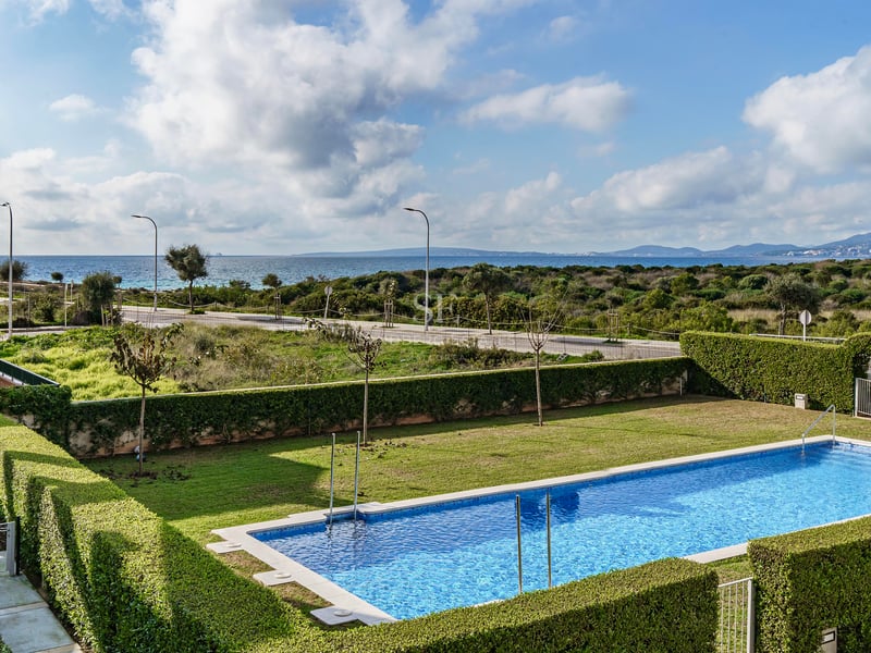 Piscine rectangulaire bleue entourée de pelouse et de haies avec la mer Méditerranée en arrière-plan.