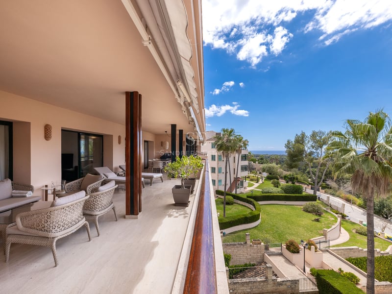 Grande terrasse couverte avec mobilier en osier surplombant un jardin avec palmiers et la mer sous un ciel bleu.