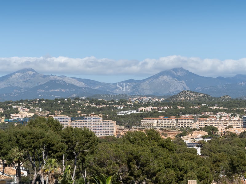 Vue aérienne d'un paysage méditerranéen avec pinèdes, résidences et montagnes lointaines sous un ciel clair.