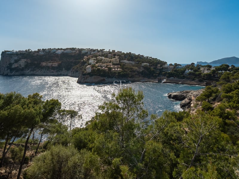 Baie côtière avec des eaux turquoise, des falaises rocheuses et des pins sous un ciel bleu clair.