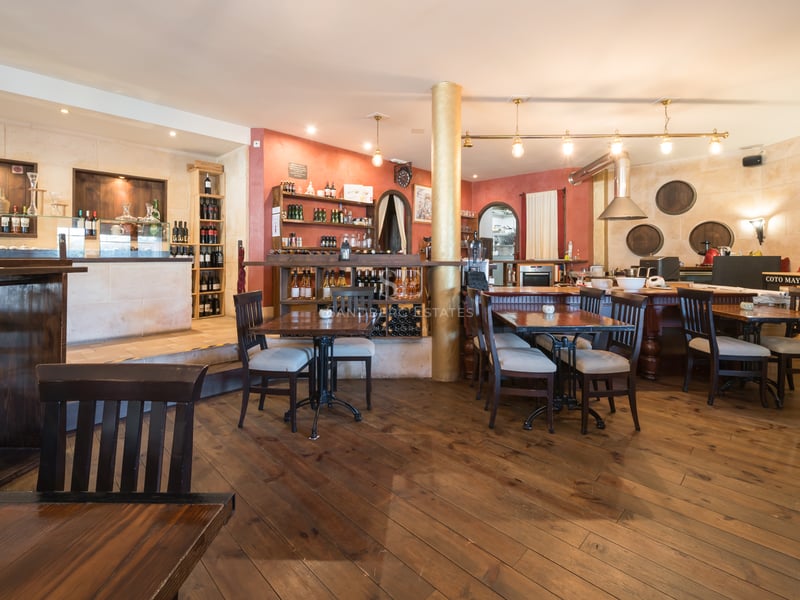 Grande cave à vin rustique avec parquet en bois sombre, murs en pierre de taille et comptoir de bar.