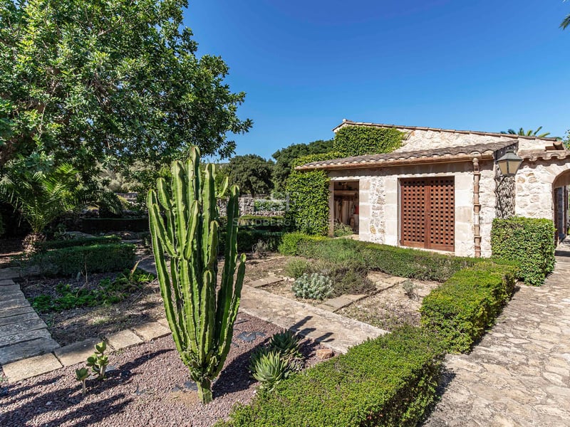 Façade en pierre avec volets en bois et un grand cactus dans un jardin méditerranéen avec des allées en pierre.