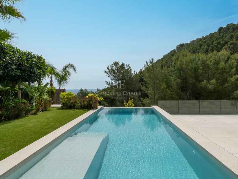 Une piscine à débordement avec carrelage en pierre crème surplombant une forêt de pins et la mer au loin.