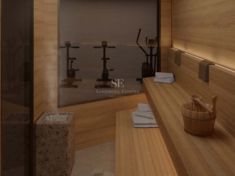 Intérieur d'un sauna moderne en bois avec poêle à pierres, vapeur et vue sur une salle de sport adjacente.