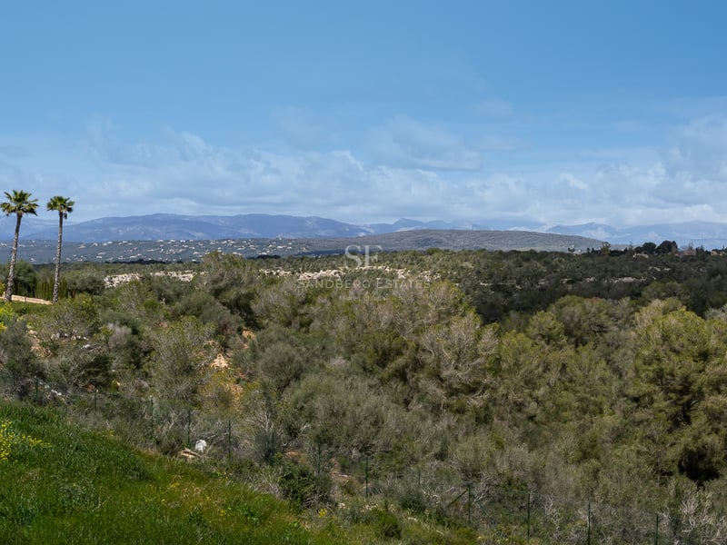 Vue panoramique sur les collines verdoyantes et les montagnes lointaines sous un ciel bleu avec quelques nuages.