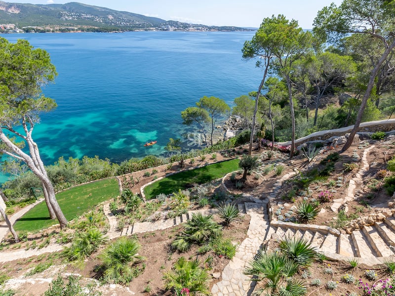 Jardin en terrasses avec escaliers en pierre et pins surplombant une mer turquoise et un littoral lointain.