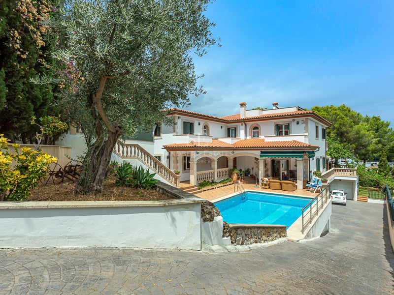 Luxueuse villa méditerranéenne blanche avec piscine étincelante, toit en terre cuite et grand olivier au premier plan.
