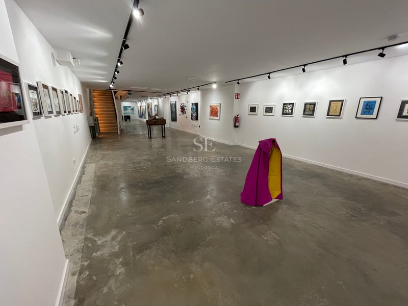 Grande galerie minimaliste avec sol en béton poli, murs blancs ornés d'œuvres d'art et éclairage sur rails professionnel.