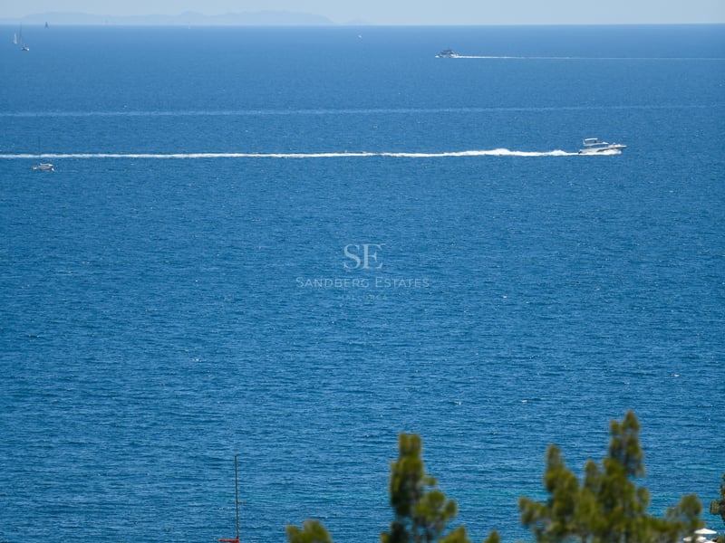 Vue dégagée sur la mer bleue avec des bateaux et des pins au premier plan sous un ciel clair.