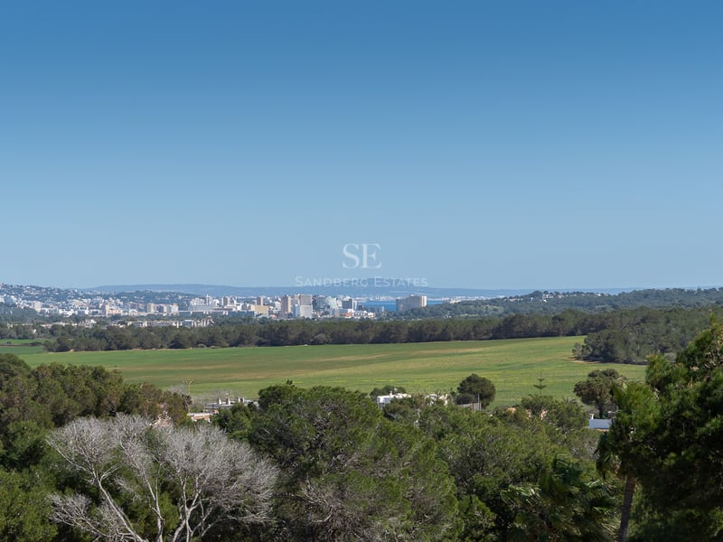 Vue panoramique sur des champs verts et des pinèdes vers les gratte-ciels de la ville et la mer au loin.
