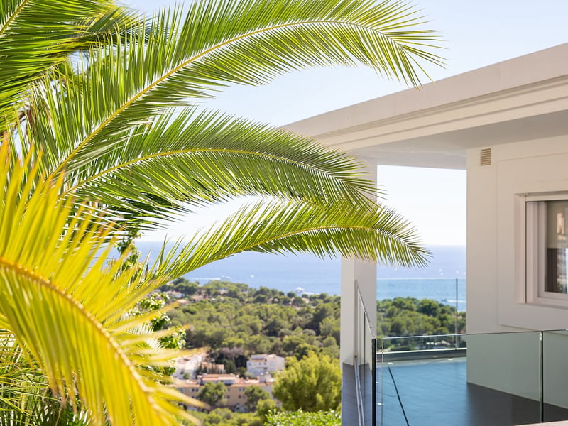 Palmes de palmier au premier plan encadrant une terrasse moderne avec garde-corps en verre et vue sur la mer.