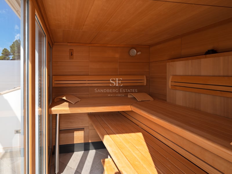 Vue intérieure d'un sauna moderne avec des bancs en bois à plusieurs niveaux et une porte vitrée.