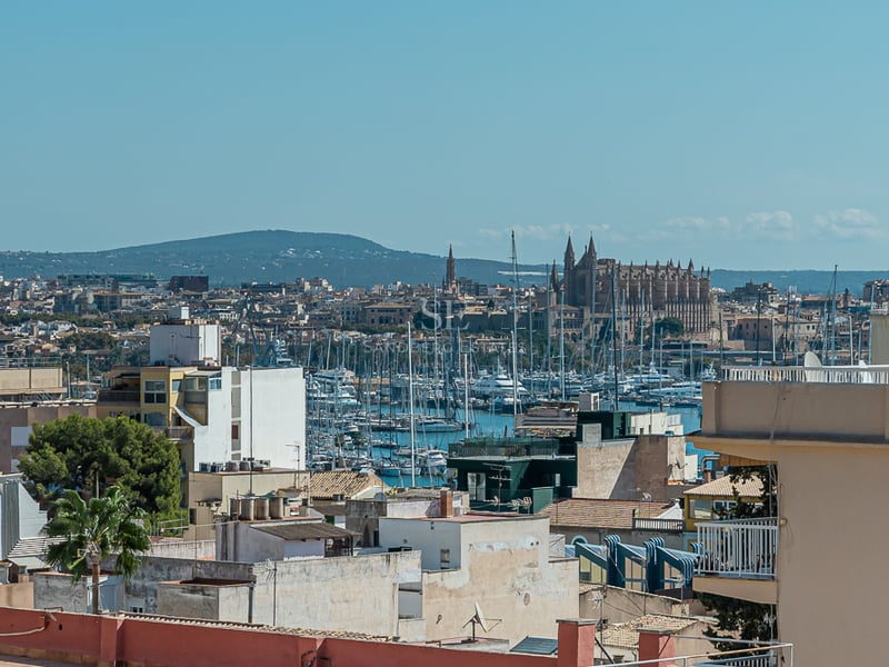 Vue aérienne depuis un toit vers la cathédrale de Palma et le port de plaisance par temps clair.