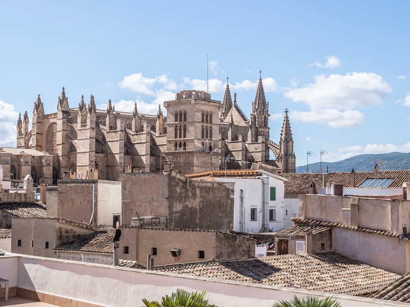 Une grande cathédrale gothique surplombe les toits en terre cuite d'une ville méditerranéenne sous un ciel bleu.