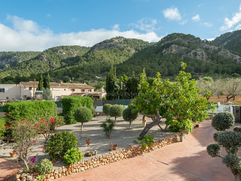 Jardin paysager avec allées en terre cuite, gravier et arbustes taillés devant des montagnes boisées.