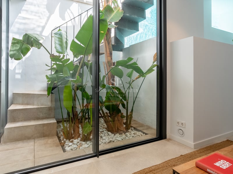 Vue à travers une porte vitrée d'un patio intérieur avec des escaliers en béton et des plantes tropicales.