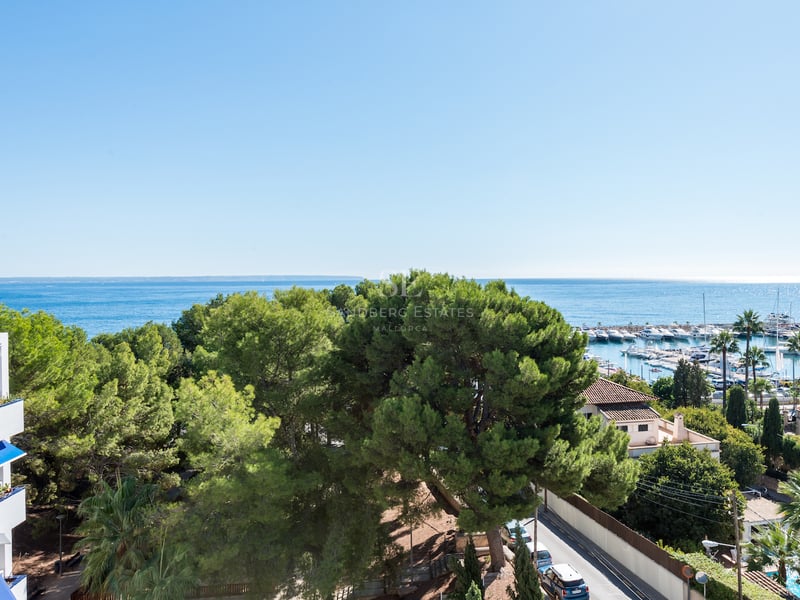 Vue en plongée sur la mer Méditerranée bleue, une marina avec des bateaux et des pins verts sous un ciel dégagé.