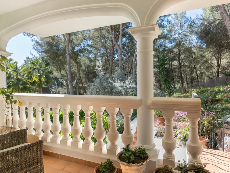 Terrasse couverte avec balustrade blanche et sol en terre cuite face à une forêt de pins luxuriante.