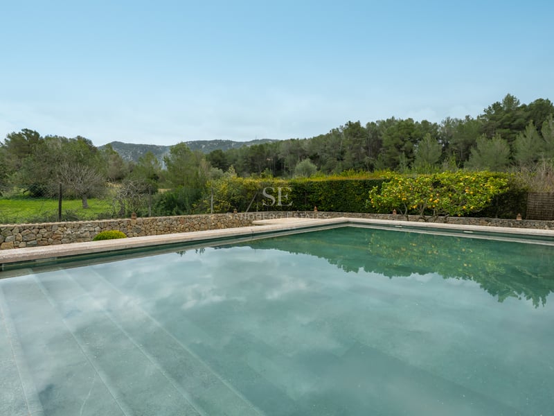 Piscine rectangulaire aux reflets verts entourée de murs en pierre, un citronnier et une forêt de pins en arrière-plan.