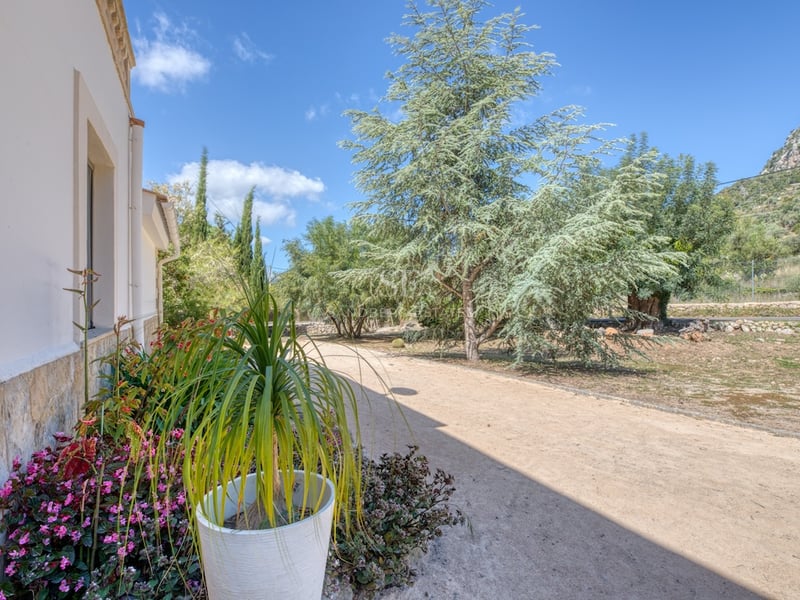 Allée de jardin ensoleillée bordant une villa blanche avec soubassement en pierre et arbres matures à Majorque.