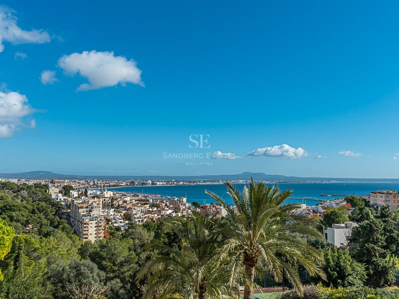 Vaste terrasse avec vue sur la mer. Mobilier moderne, piscine à débordement, solarium et jardin luxuriant. Design architectural contemporain.