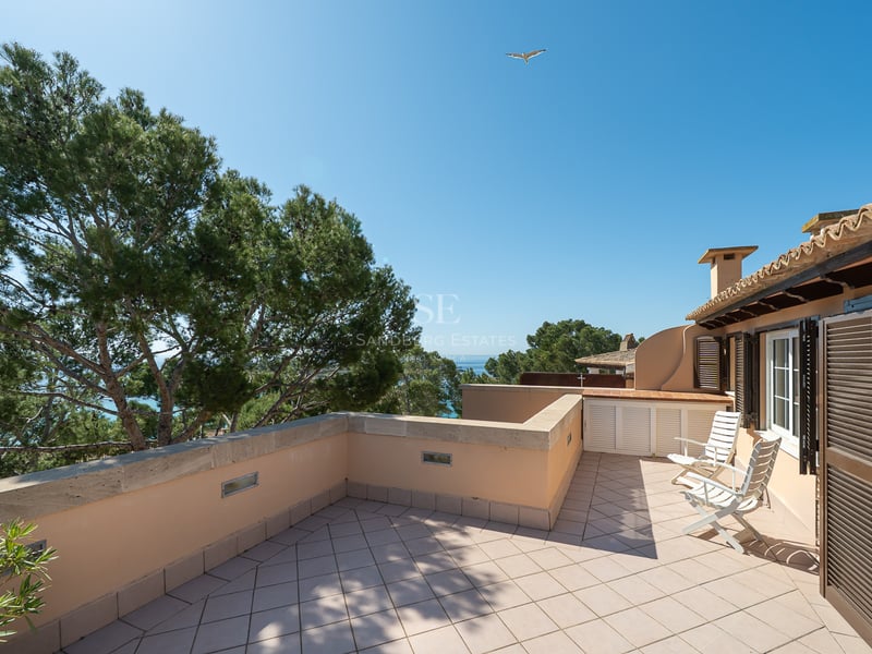 Terrasse ensoleillée avec carrelage en terre cuite, chaises blanches et volets traditionnels surplombant les pins et la mer.