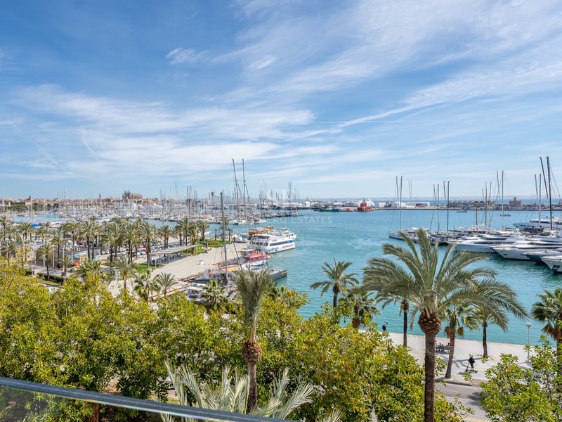 Vue panoramique d'un port méditerranéen rempli de yachts et de palmiers avec une cathédrale historique au loin.