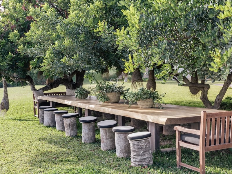 Longue table en bois massif avec taburets sous de grands arbres feuillus sur une pelouse verte.