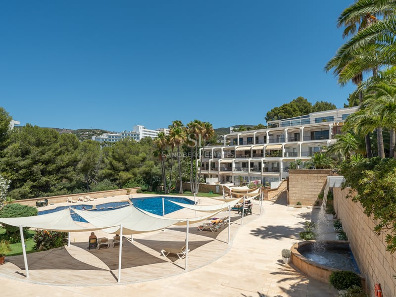 Une grande piscine bleue entourée d'une terrasse en pierre avec des voiles d'ombrage blanches et des palmiers sous un ciel bleu.