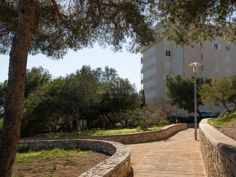 Un chemin pavé incurvé bordé de murets en pierre naturelle et de pins matures menant à un bâtiment résidentiel.
