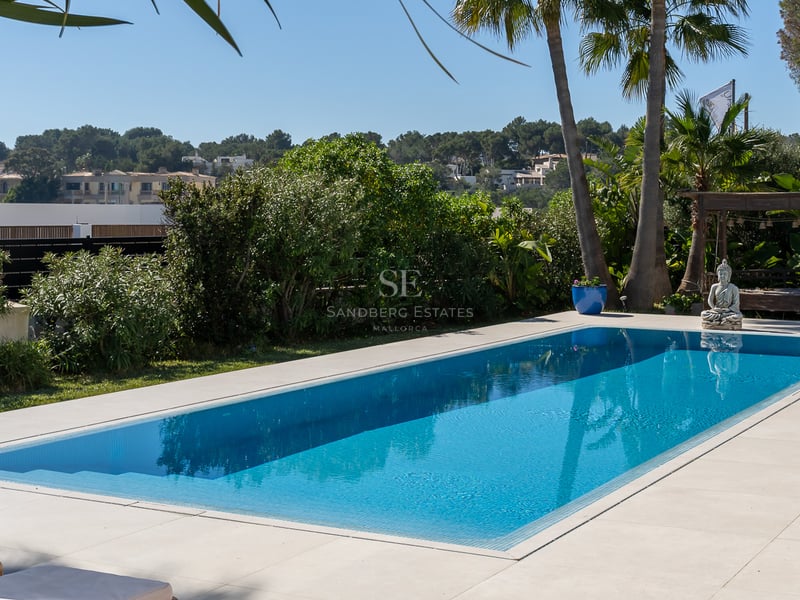 Piscine turquoise rectangulaire sur patio en pierre claire, avec transats au premier plan et palmiers sous ciel bleu.