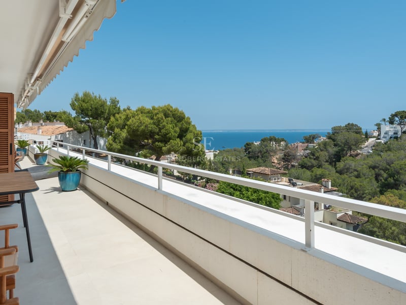 Terrasse blanche avec meubles en bois, pots bleus et vue panoramique sur la mer et les pins sous un ciel dégagé.