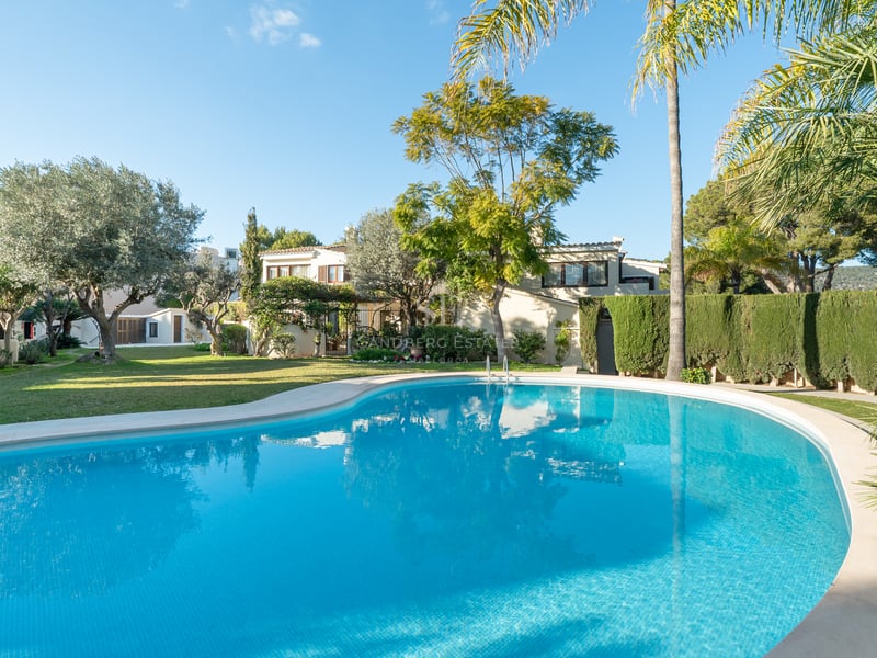 Grande piscine de forme libre entourée d'une pelouse verte et de palmiers devant une villa blanche.